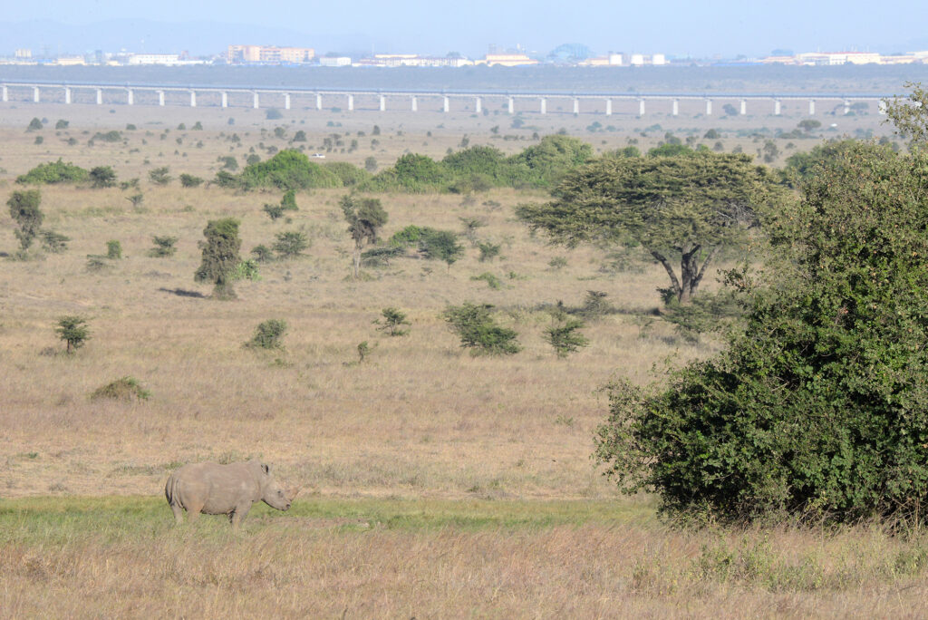 Habitat Loss