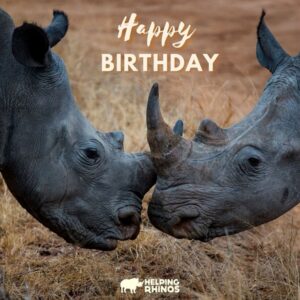 Happy Birthday Card with two rhinos