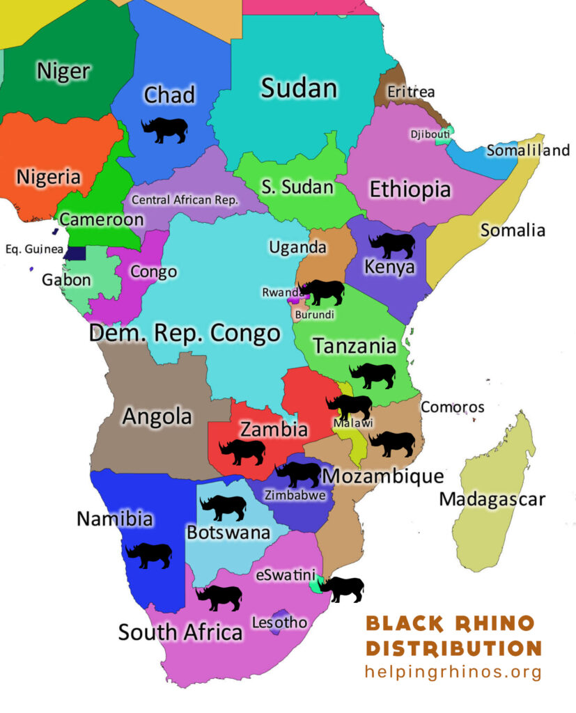 Black Rhino Distribution map 2024