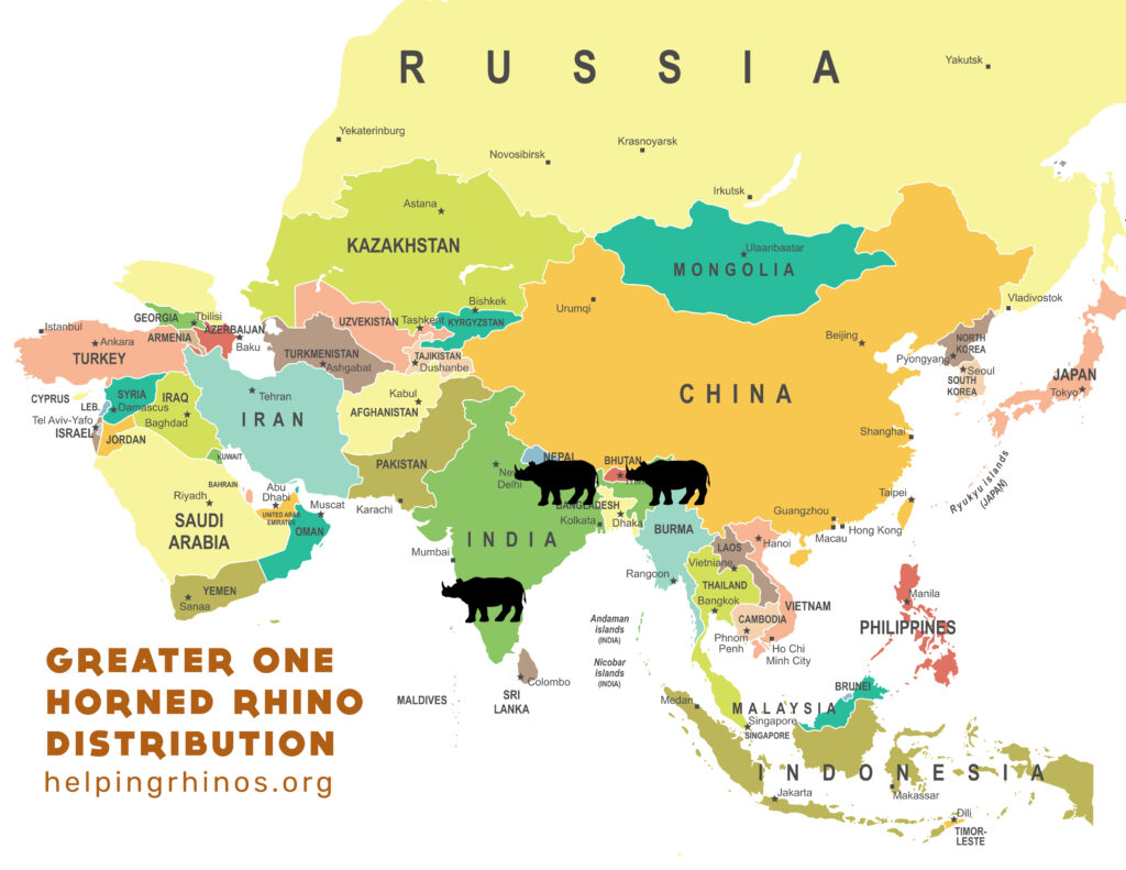 Greater one horned rhino distribution map 2024