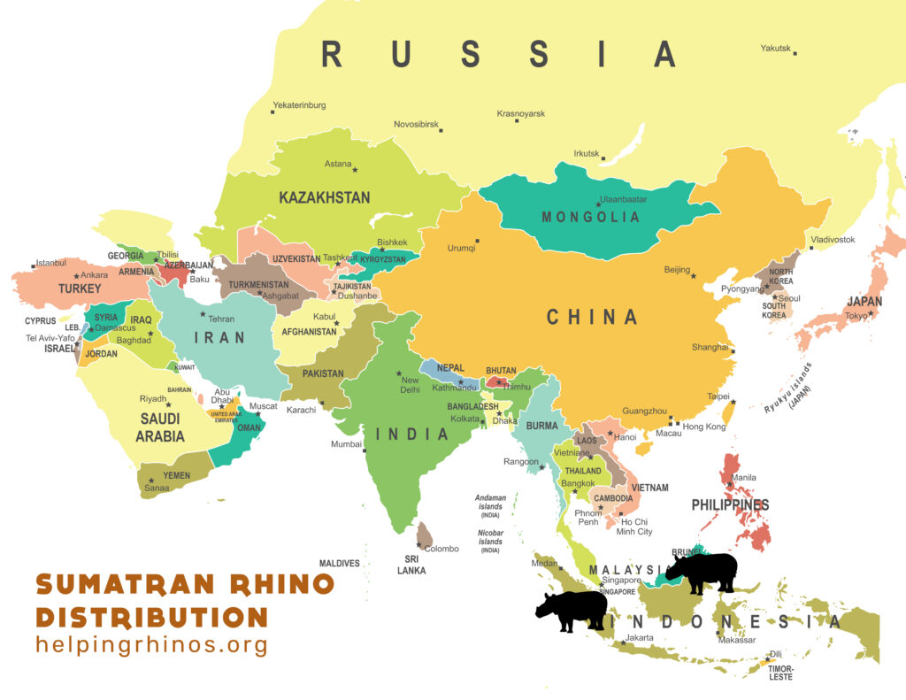 Sumatran Rhino Distribution Map 2024